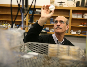 会员账号便宜的免费ddos防火墙