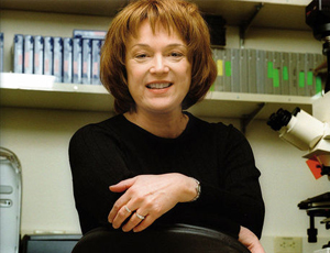 手机版ddos攻击器